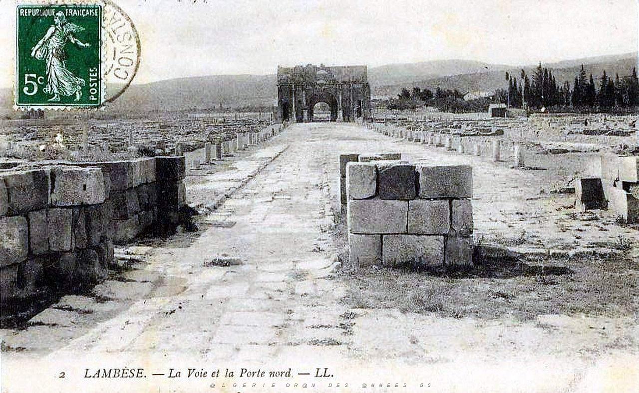 ALGERIE-RUINES ROMAINES DE LAMBESE (14).jpg